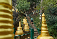 Full Day Jungle Expedition From Krabi (DSTH)