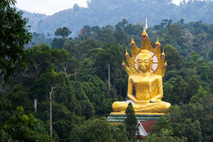 Full Day Amazing 3 Temples Tour from Khao Lak (KLD)