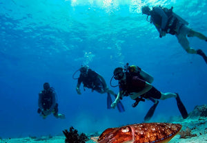 PADI Open Water Diving Course 3 days from Phuket (RYD)