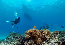 Full Day Raya Yai Discover Scuba Diving from Phuket (RYD)
