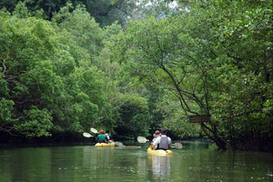 Full Day Mangrove and Caves Kayaking at Baan Bor Thor (CSY)