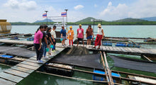 Half Day Phuket Explore The Fishery Raft Intara Farm (DSTH)
