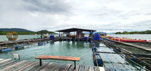 Full Day Phuket Highlight With The Fishery Raft Intara Farm (TUI Collection)