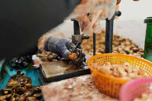 Evening Phuket By Night (DSTH)