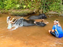 Full Day Khao Sok with Elephant Bathing from Khao Lak (KLD)