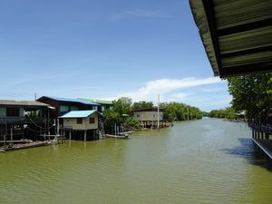 Full Day Mangrove Forest Conservation Centre with lunch (DSTH)