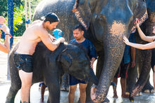 Half Day Elephant Experience From Phuket (GEP)