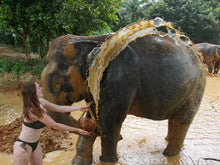 Full Day Unseen Khao Sok Elephant Care and Nature Treat from Khao Lak (USK)