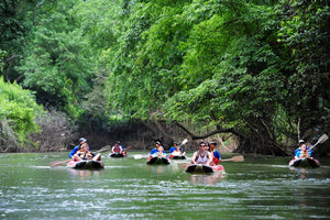 Full Day Khao Sok Jungle Hiking Canoeing [KS1-C or KS1-D] (KSD)